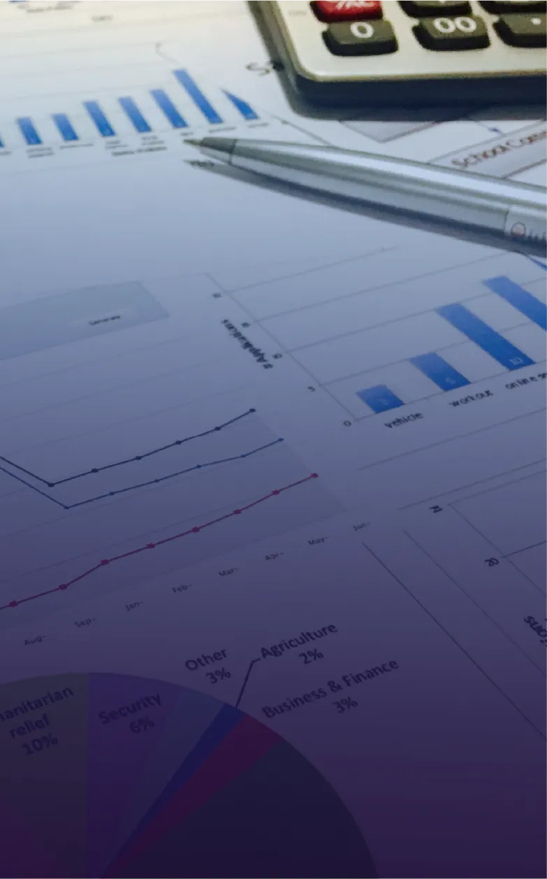 Análisis de riesgos de Licenciamiento Indirecto / Acceso